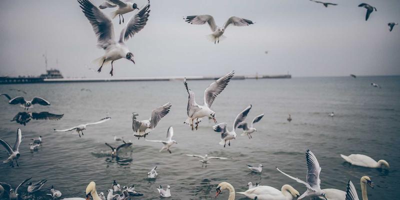 沧州泊川15：工业制造领域的传动部件专家与机械设备解决方案