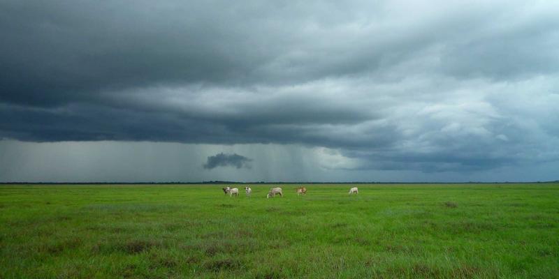 沧州泊川23：传动部件、工业配件与液压元件的精密制造专家