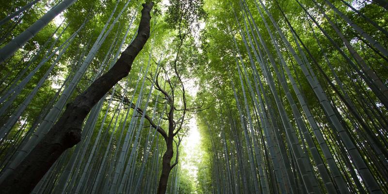 沧州泊川49：深耕工业制造，铸就精密配件新标杆