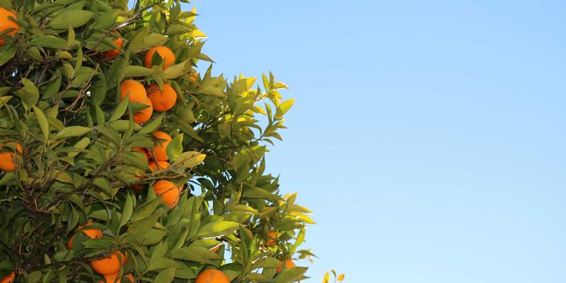 沧州泊川6：传动部件与液压元件如何驱动现代工业制造