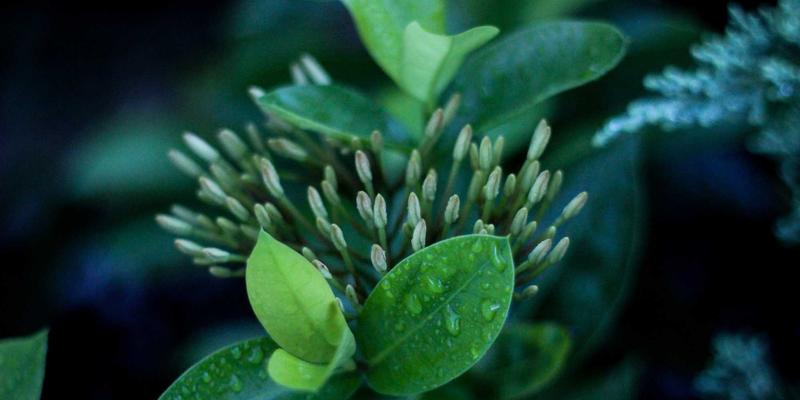 沧州泊川：以精密传动部件驱动自动化设备新未来