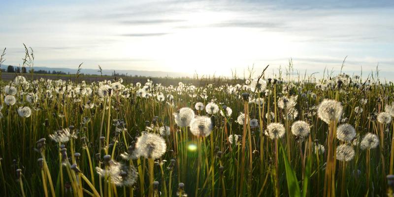 沧州泊川:以精密机械设备驱动工业制造新未来