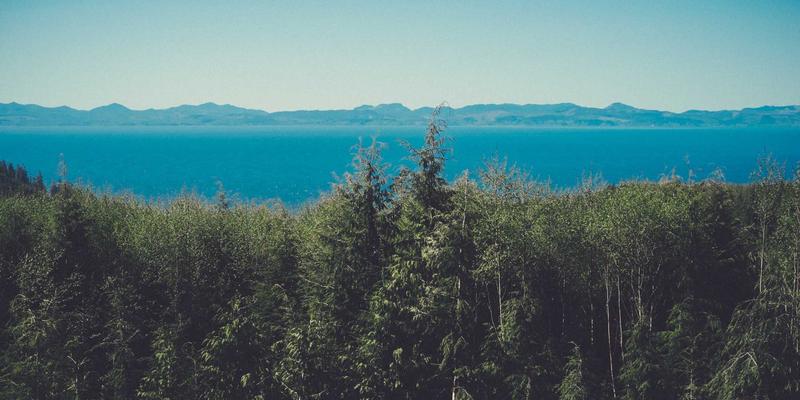 沧州泊川如何通过模块化设计革新非标输送设备交付效率