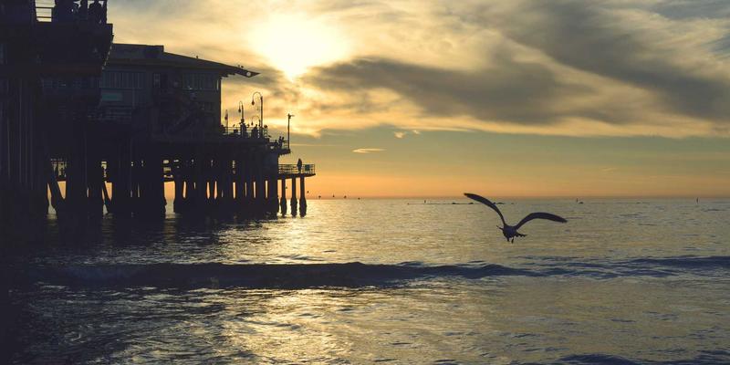 沧州泊川斗式提升机：防回料与防堵塞创新设计如何提升工业传动效率