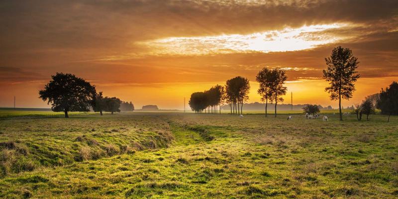 沧州泊川智能仓储：堆垛机高速存取与防摇摆算法的技术突破