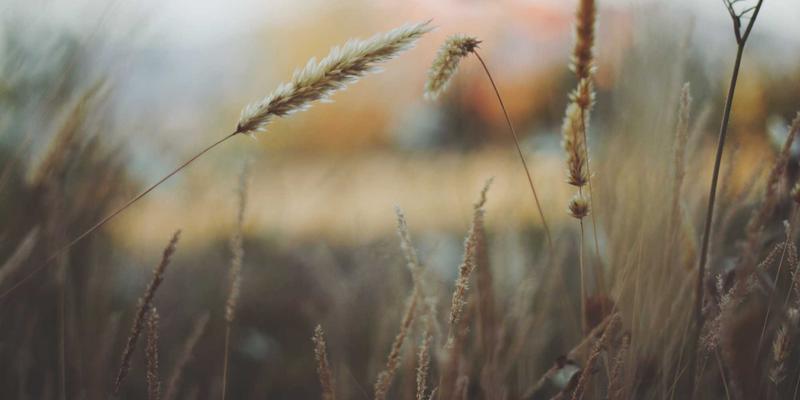 沧州泊川机械：以精密传动部件加工精度控制，铸就自动化设备长期运行可靠性基石