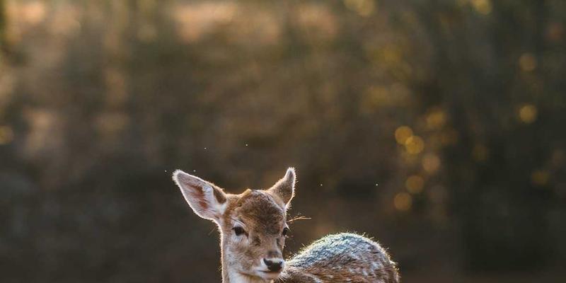 沧州泊川液压系统：重型机械节能降噪设计的创新实践