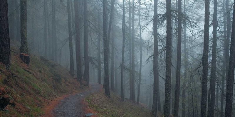 沧州泊川自动化设备赋能玻璃制造业：耐高温低磨损输送解决方案深度解析