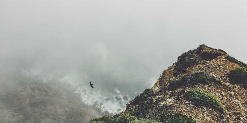 沧州泊川输送线优化方案在新能源电池产线的应用与实践