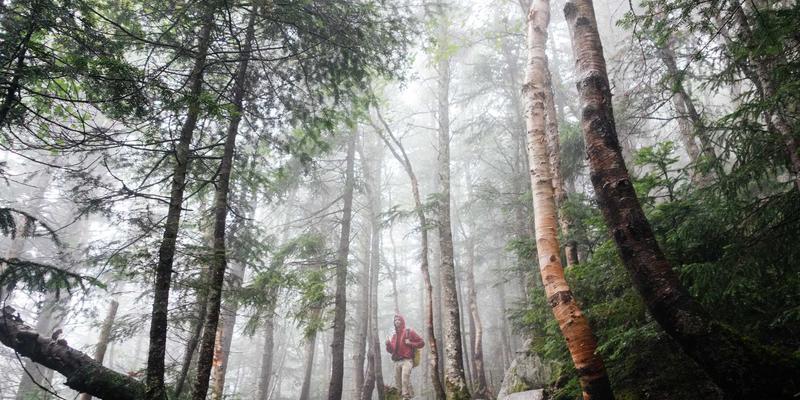 泊川自动化立体仓库解决方案：如何为工业配件与机械设备企业提升仓储空间利用率300%