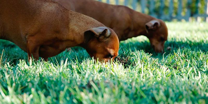 泊川非标自动化输送线：液压元件与自动化设备在汽车装配车间的集成实践